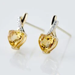 Boucles D'oreilles Puces Or Jaune Clothilde -Fanny Boutique B3OFJAJ002 view2