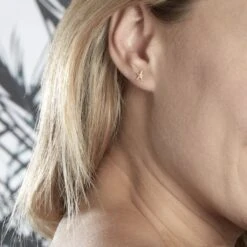 Boucles D'oreilles Or Jaune Aenor Puces -Fanny Boutique B3OFJW00AN model0