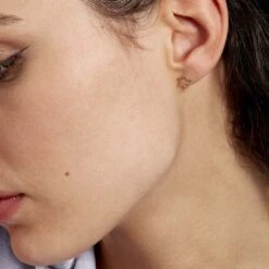 Boucles D'oreilles Puces Alphonsine Etoile De Mer Or Jaune -Fanny Boutique B3OFJW0598 model1