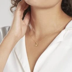 Pendentif Egide Cheval Or Jaune -Fanny Boutique B3PFJW0389 model1