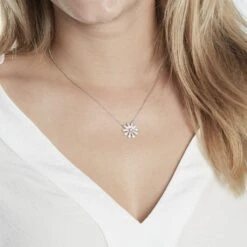 Collier Ambrose Argent Bicolore Oxyde De Zirconium -Fanny Boutique FACF2ZW021 model0